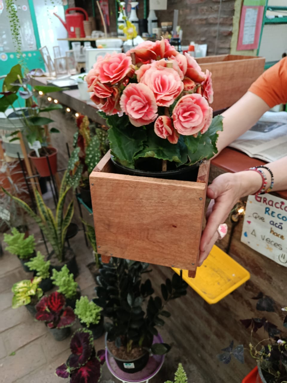 Mini Porta Maceta de Madera - Diseño Nórdico y Funcional - Image 3